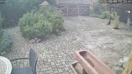 Thumbnail von P25100616394010.jpg