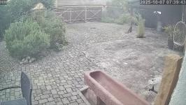 Thumbnail von P25100707394310.jpg