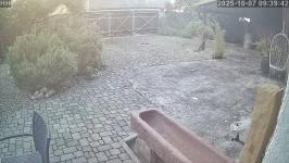 Thumbnail von P25100709394210.jpg