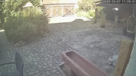 Thumbnail von P25100711394110.jpg