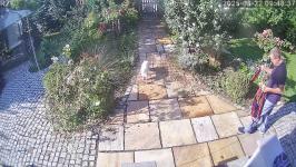 Thumbnail von A25082209483710.jpg