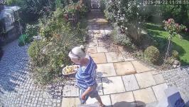 Thumbnail von A25082211265410.jpg