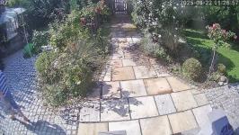 Thumbnail von A25082211265712.jpg