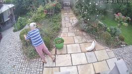 Thumbnail von A25082215050111.jpg