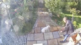 Thumbnail von A25100710222310.jpg