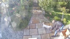 Thumbnail von A25100710222411.jpg