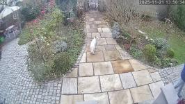 Thumbnail von A25112113503412.jpg