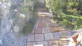 Thumbnail von P25100710321310.jpg