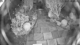 Thumbnail von P25112117385910.jpg