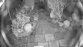 Thumbnail von P25112118390010.jpg