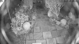 Thumbnail von P25112121385910.jpg