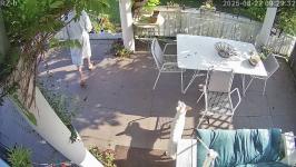 Thumbnail von A25082209293112.jpg