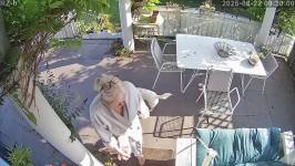Thumbnail von A25082209300011.jpg