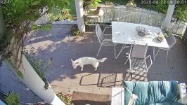 Thumbnail von A25082209300112.jpg