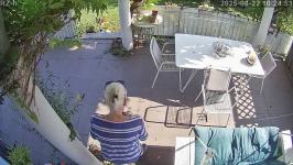 Thumbnail von A25082210245310.jpg