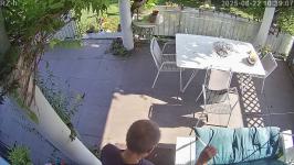 Thumbnail von A25082210390710.jpg