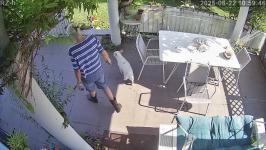 Thumbnail von A25082210594611.jpg
