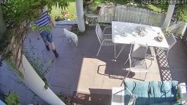 Thumbnail von A25082210594712.jpg