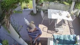 Thumbnail von A25082211152712.jpg
