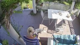 Thumbnail von A25082211185910.jpg