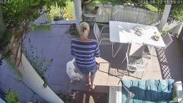 Thumbnail von A25082211190011.jpg