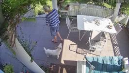 Thumbnail von A25082211190112.jpg