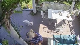 Thumbnail von A25082211200011.jpg