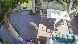 Thumbnail von A25082211200112.jpg