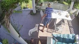 Thumbnail von A25082211220811.jpg