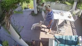 Thumbnail von A25082211220912.jpg