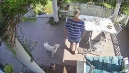 Thumbnail von A25082211234811.jpg