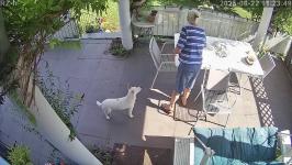 Thumbnail von A25082211234912.jpg