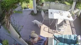 Thumbnail von A25082211242210.jpg