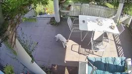 Thumbnail von A25082211242412.jpg