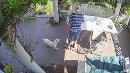 Thumbnail von A25082211252311.jpg