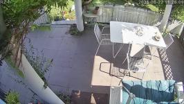 Thumbnail von A25082211260912.jpg