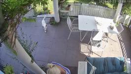 Thumbnail von A25082212081012.jpg