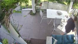 Thumbnail von A25082212334812.jpg