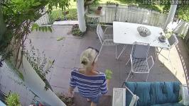 Thumbnail von A25082213061010.jpg