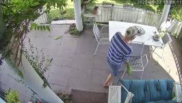 Thumbnail von A25082213061111.jpg