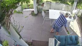 Thumbnail von A25082213061212.jpg