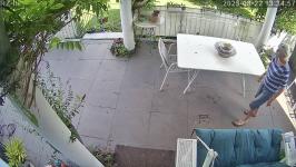 Thumbnail von A25082213345610.jpg