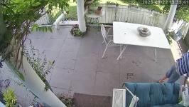 Thumbnail von A25082213354012.jpg