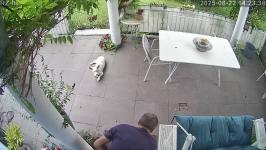 Thumbnail von A25082214233710.jpg