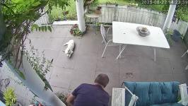 Thumbnail von A25082214233911.jpg