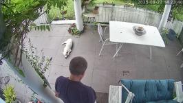 Thumbnail von A25082214234012.jpg