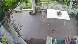 Thumbnail von A25082215370210.jpg