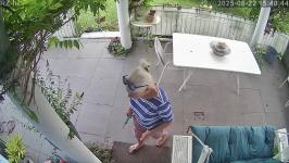 Thumbnail von A25082215404312.jpg