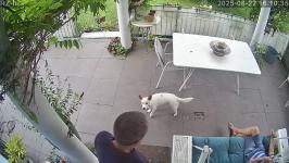 Thumbnail von A25082216103410.jpg