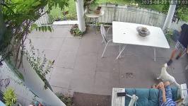 Thumbnail von A25082216110210.jpg